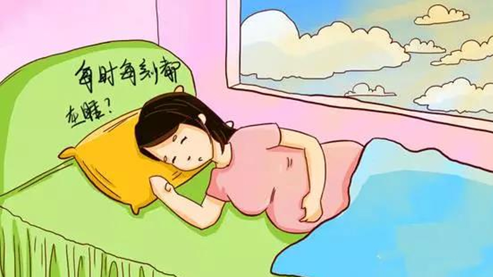 1786605010566587.jpg 1-26-L 拷贝.jpg