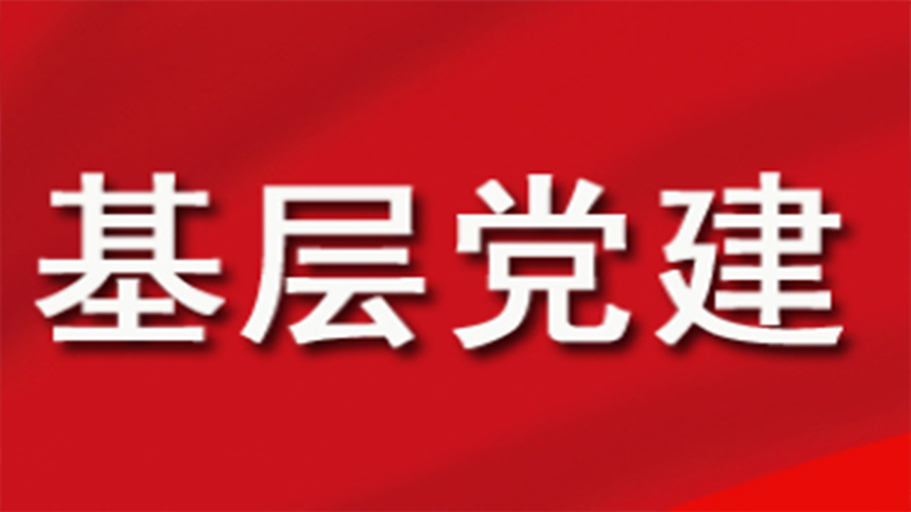 全面学习把握落实党的二十大精神 奋力夺取全面建设社会主义现代化国家新胜