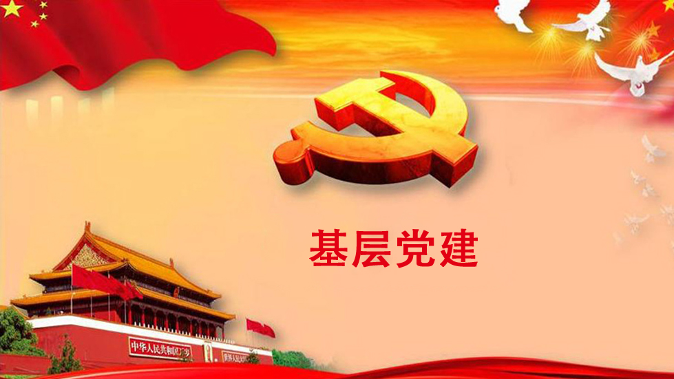 习近平党建思想对马克思主义建党学说的丰富和发展（深入学习贯彻习近平新时